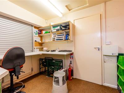 Picture 8